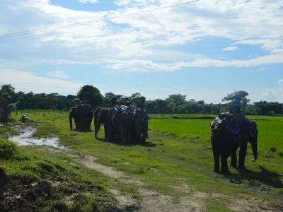 Chitwan National Park