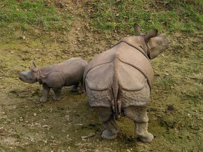 Familienurlaub In Nepal