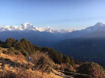 Aussicht von Poon Hill aus